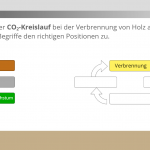 Shop DEPI-Führerschein Screenshot2